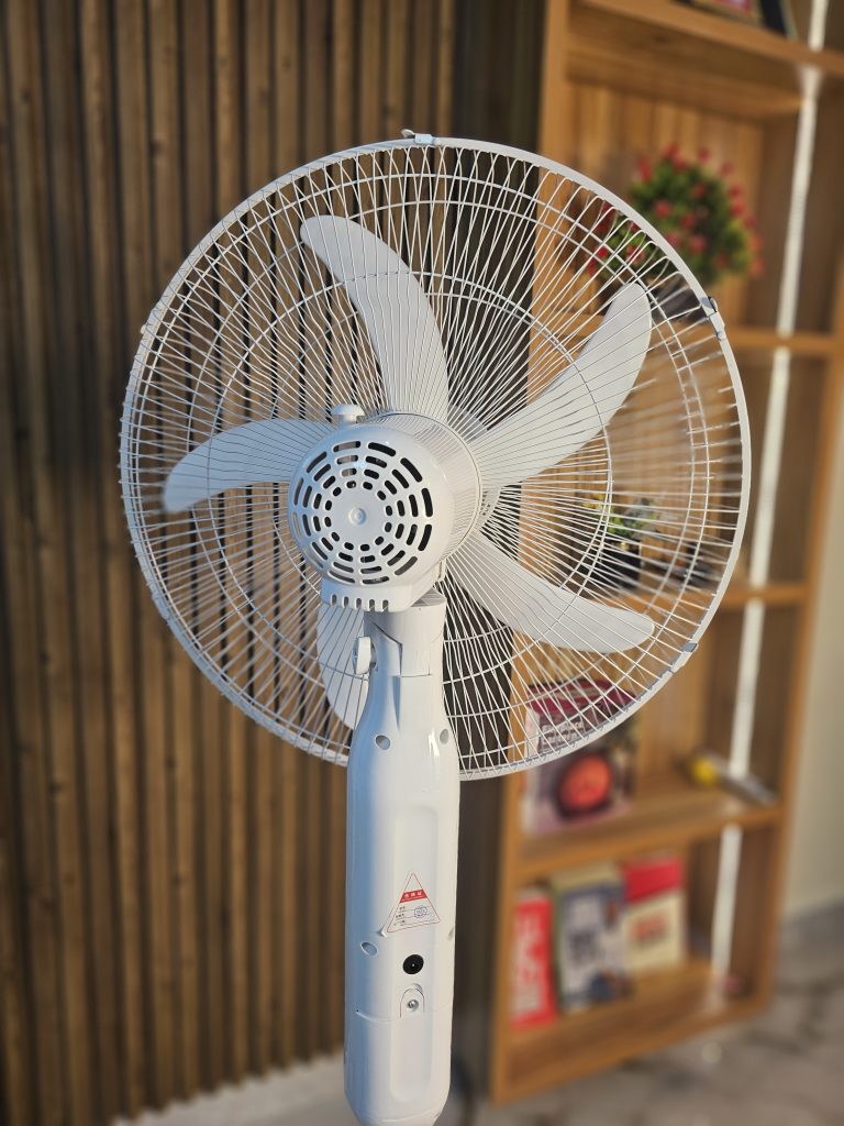 20260331_225315.jpg